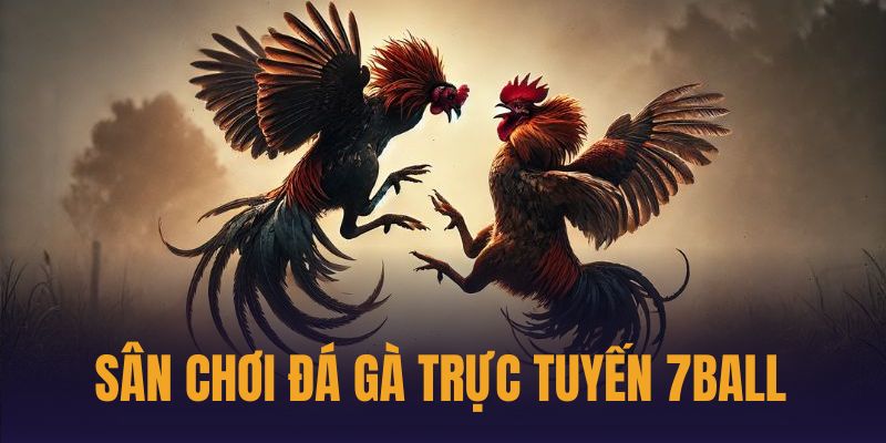 Dịch vụ đá gà siêu chất với 3 sảnh game hiện đại