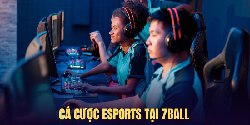 Các dạng cược Esport hấp dẫn và có tính hiện đại